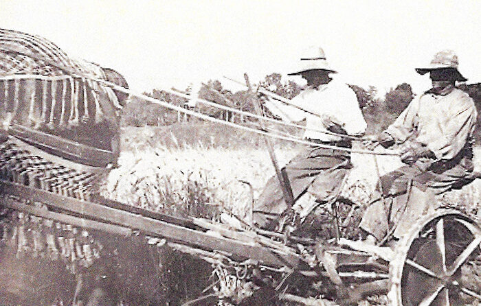 LA MECANIZACIÓN DEL CAMPO