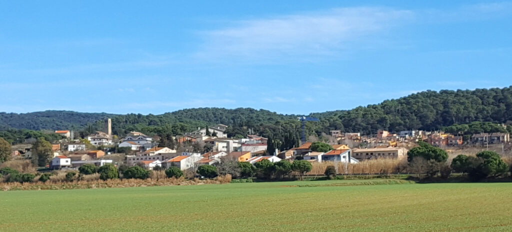 Vista panoràmica de Santa Agnès de Malanyanes